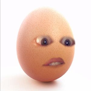 Meet your Posher, Maggie